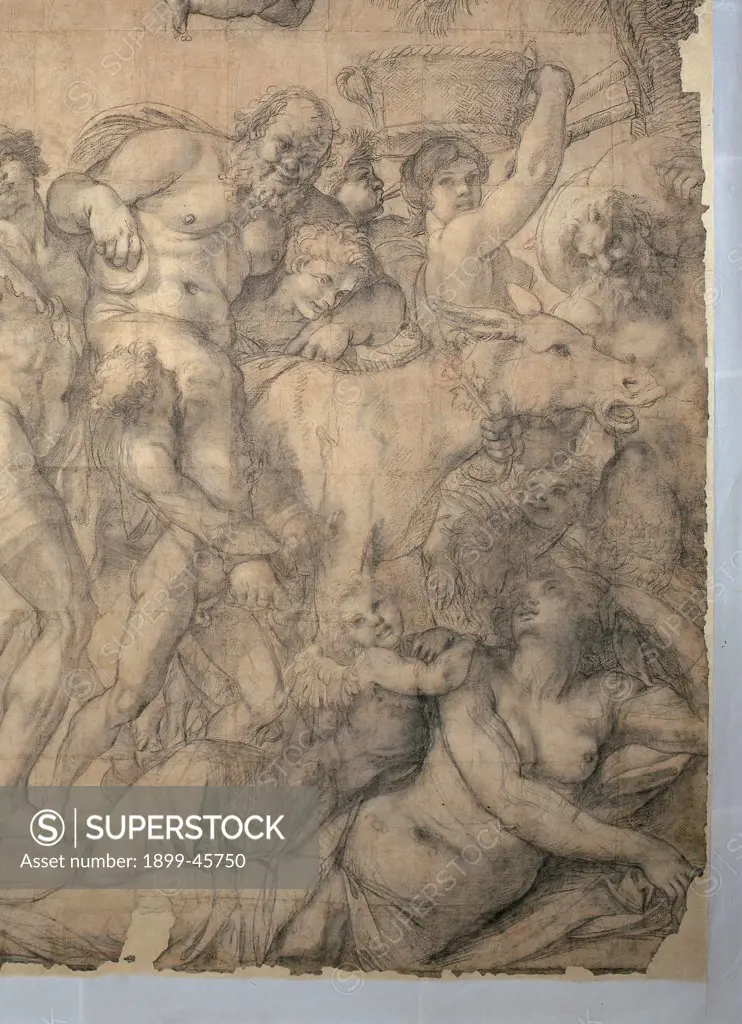 A Bacchic Procession with Silenus, by Carracci Annibale, 1597 - 1600, 16th Century, charcoal and white lead on gray, blue paper. Italy: Marche: Pesaro Urbino: Urbino: Galleria Nazionale delle Marche. Detail. Bacchus god Silenus cortege/procession bacchanal feast players men women girls nudity basket flowers fruit wine calf inebriation/drunkenness putti/cherubs sheet drawing squaring