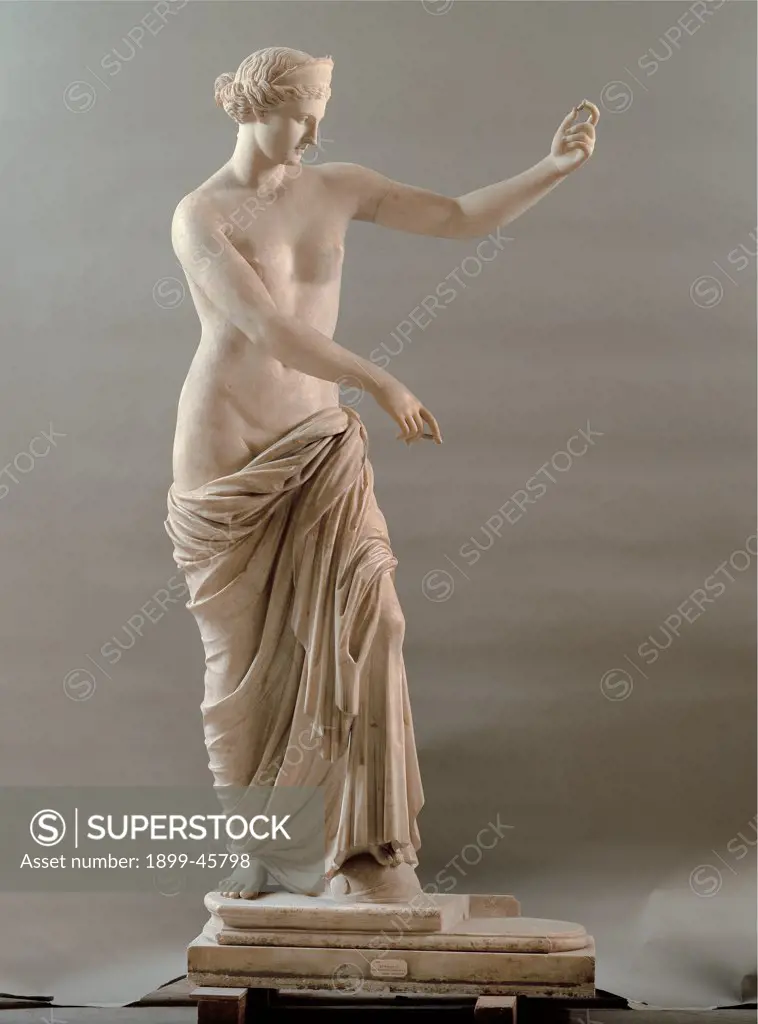 Statue of Aphrodite type Capua, by Unknown artist, 2nd Century, white marble, full relief. Italy: Campania: Naples: National Archaeological Museum: inv. 6017. Whole artwork. Statue woman naked breast goddess Love Aphrodite Venus