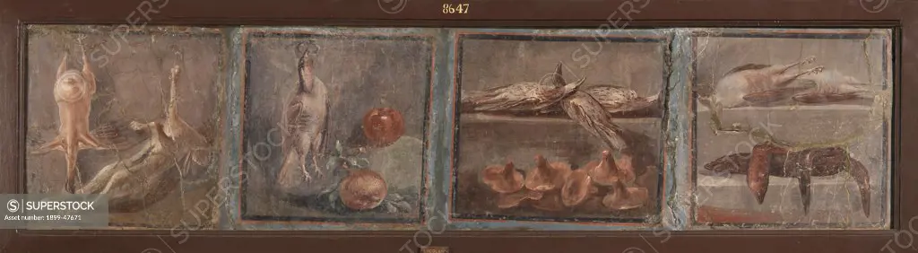 Still life, by Unknown, 62 - 79, 1st Century, painted stucco. Italy, Campania, Naples, National Archaeological Museum, from Herculaneum. Whole artwork. Game plucked birds mushrooms vegetables.