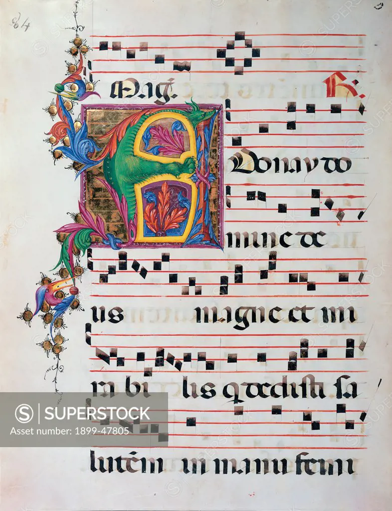 Day and night Antiphonary from the 6th Sunday after Pentecost to the Advent, by Anonymous Sienese painter, 15th Century, illuminated manuscript. Italy, Tuscany, Siena, Osservanza Basilica. Whole artwork. Anonay. Illuminated page score notes music chant plant shoots panel initial letter incipit: beginning dragon prayer blue red yellow green.