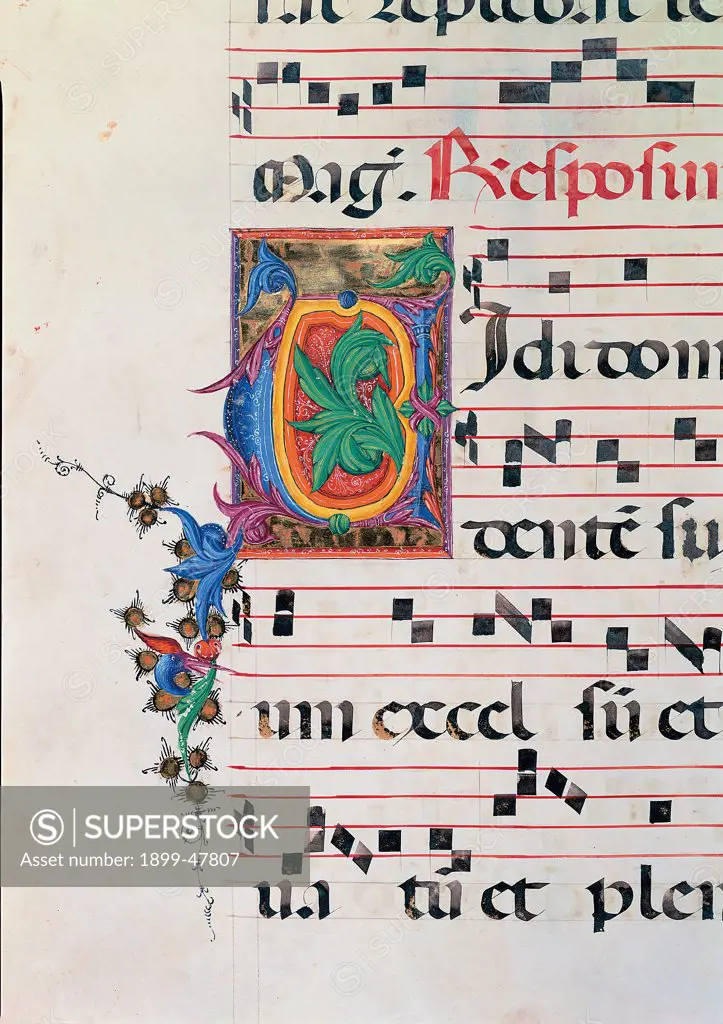 Day and night Antiphonary from the 6th Sunday after Pentecost to the Advent, by Anonymous Sienese painter, 15th Century, illuminated manuscript. Italy, Tuscany, Siena, Osservanza Basilica. Detail. Vidi. Illuminated page score notes music chant plant shoots panel initial letter incipit: beginning prayer blue red yellow green.