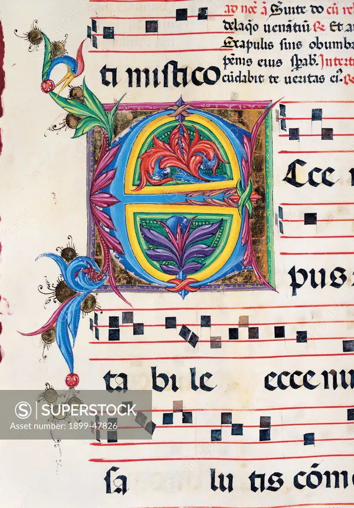 Diurnal and Nocturne Antiphonary from the First Saturday after Epiphany to Holy Saturday, by Anonymous Sienese painter, 15th Century, illuminated manuscript. Italy, Tuscany, Siena, Osservanza Basilica. Detail. Illuminated page - Ecce. Score notes music chant panel letter initial letter incipit: beginning plant shoots blue red yellow green.