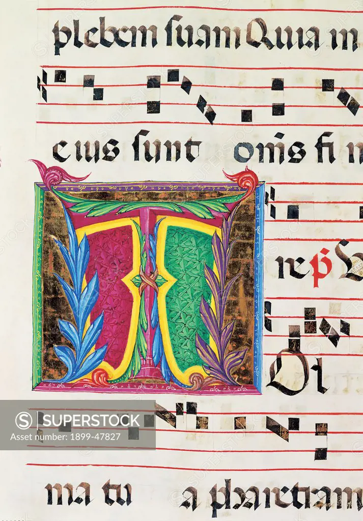 Diurnal and Nocturne Antiphonary from the First Saturday after Epiphany to Holy Saturday, by Anonymous Sienese painter, 15th Century, illuminated manuscript. Italy, Tuscany, Siena, Osservanza Basilica. Detail. Illuminated page - Tolle. Score notes music chant panel letter initial letter incipit: beginning plant shoots blue red yellow green.