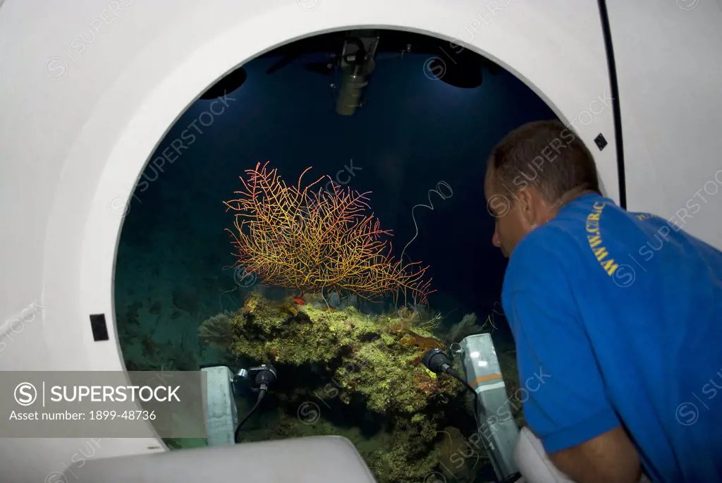 Man looking out of mini-sub window at deep sea gorgonian. Subclass: Octocorallia. Approximately at 400 feet. Sea Aquarium Reef, Curacao, Netherlands Antilles. . . .