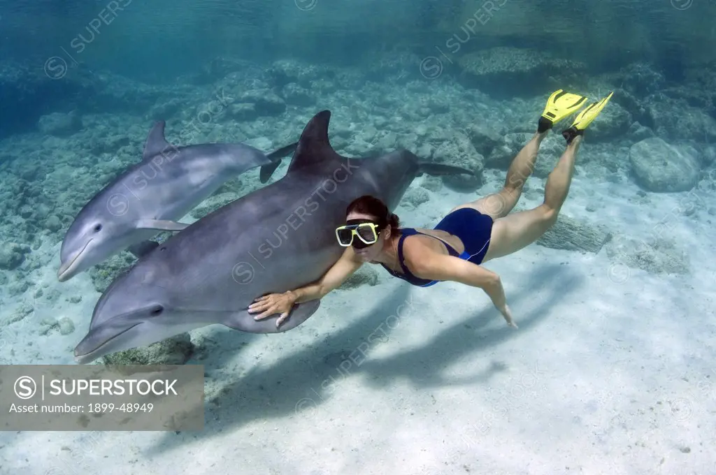 Woman free-diving with bottlenose dolphin (Tursiops truncatus).