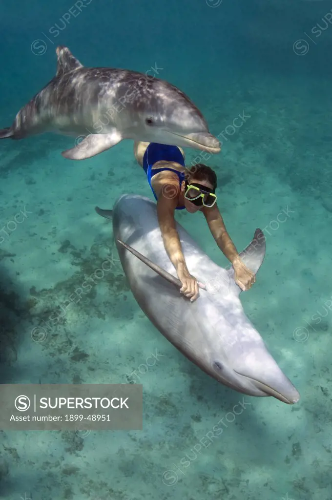 Woman free-diving with bottlenose dolphin (Tursiops truncatus).