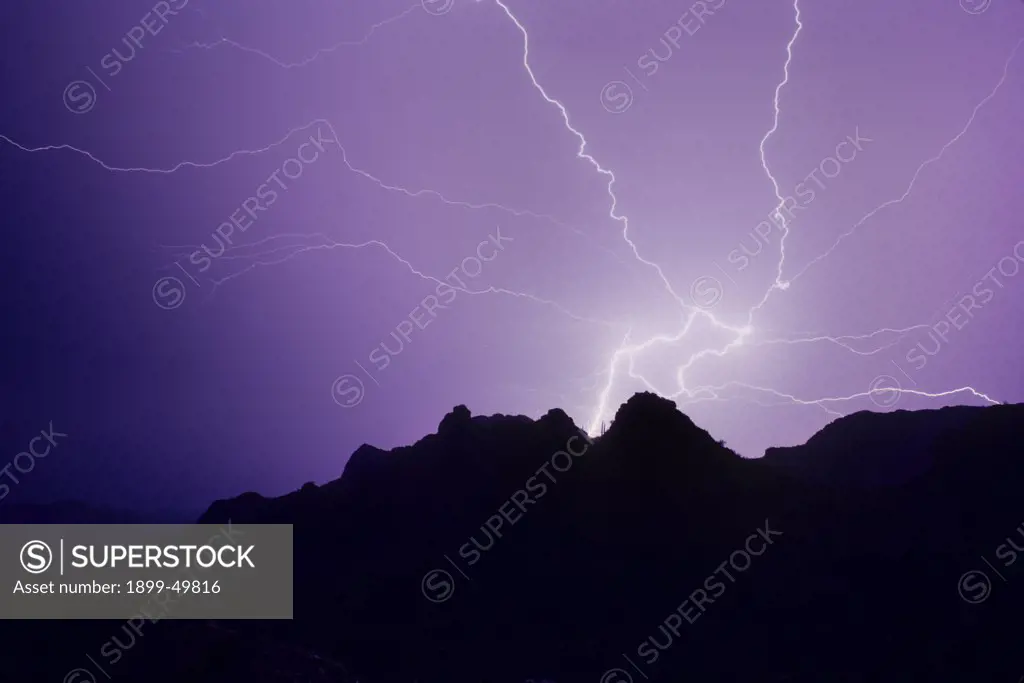 Dramatic lightning flash showing a powerful ground discharge with radiating air discharge channels.  Tucson Mountains, Tucson, Arizona, USA.