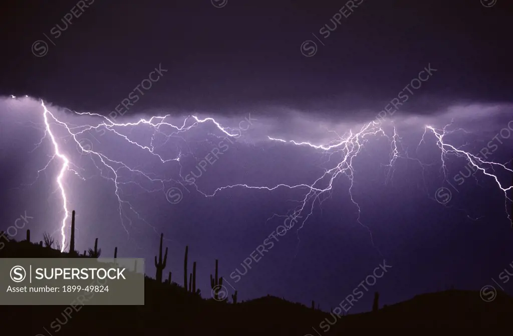 Two types of lightning over the Sonoran Desert, a cloud-to-ground discharge with air discharge lightning. Saguaro cacti silhouetted on ridge.   Tucson Mountains, Tucson, Arizona, USA.