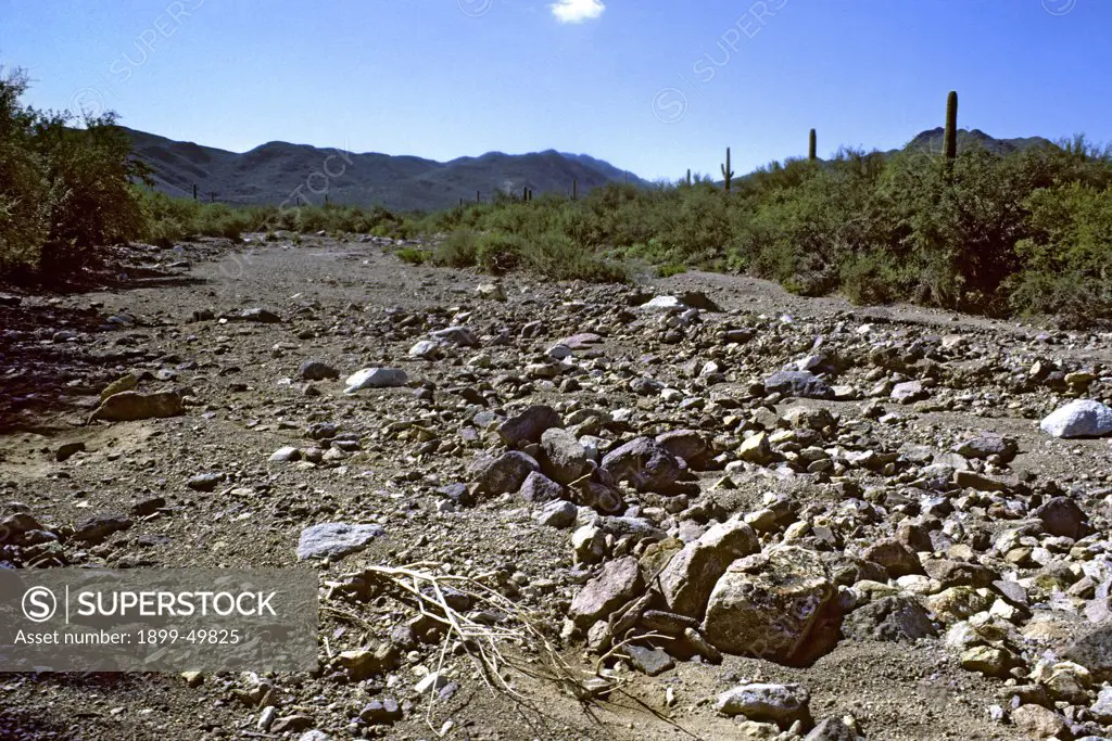 Dry streambed, known as an arroyo, in the Sonoran Desert as it normally looks.   Tucson Mountains, Tucson, Arizona, USA.    See image UAZ-2195 for a view of the same scene with a flash flood.