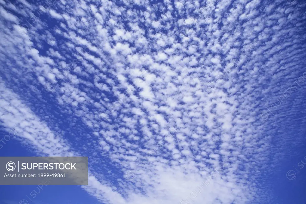 Skyscape with cirro-cumulus clouds.  Tucson, Arizona, USA.