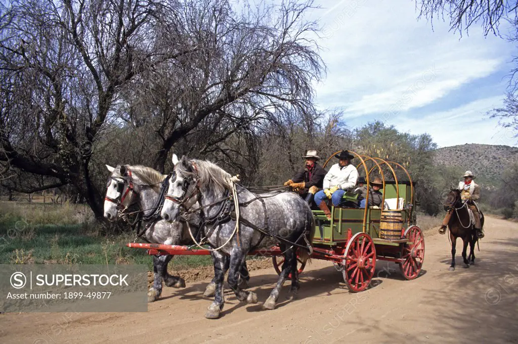 Restored Old West cowboy chuckwagon pulled by percheron horses.  Owned by Dan Bates, Cobra Ranch, Agro Land and Cattle Company. Near Klondyke, Arizona, USA. October 1993    (Driver: Mike Ryan; shotgun: Mark Brooks; on horseback: Dan Bates).