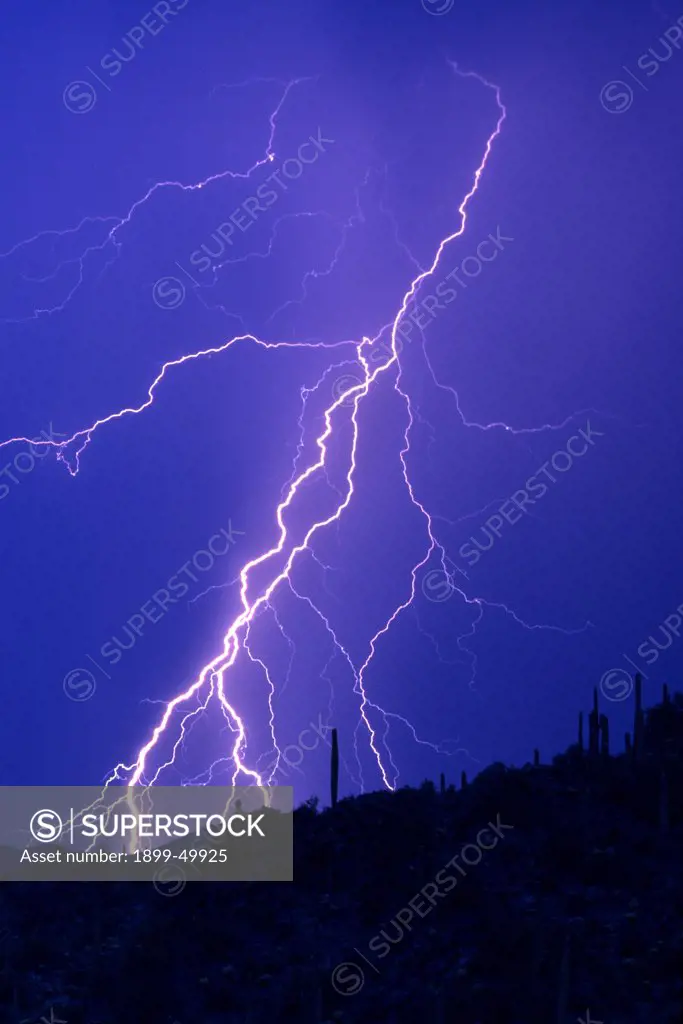Forked cloud-to-ground lightning with multiple strike points in the Sonoran Desert.  Saguaro National Park, Tucson Mountains, Tucson, Arizona, USA.