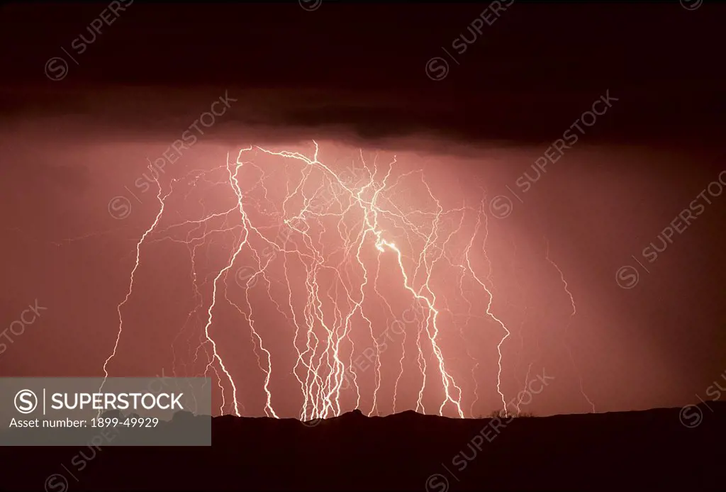 Two-minute exposure of a lightning storm, recording 28 cloud-to-ground strikes.  Marana, Arizona, USA.