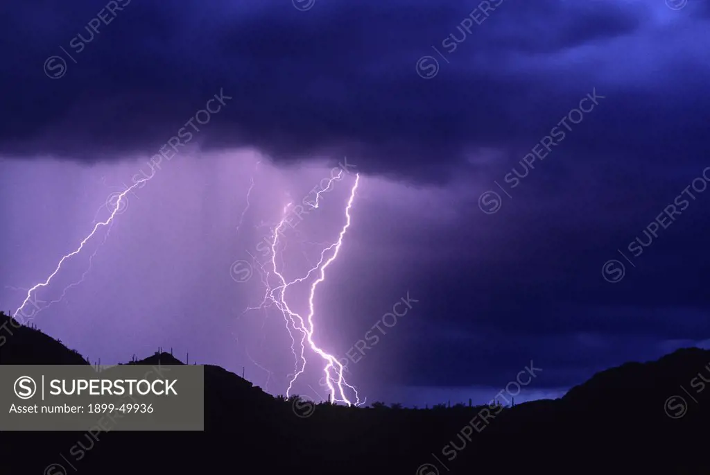 Rainstorm with lightning, multiple ground discharges over the Tucson Mountains. Sonoran Desert. Southern Arizona, USA.