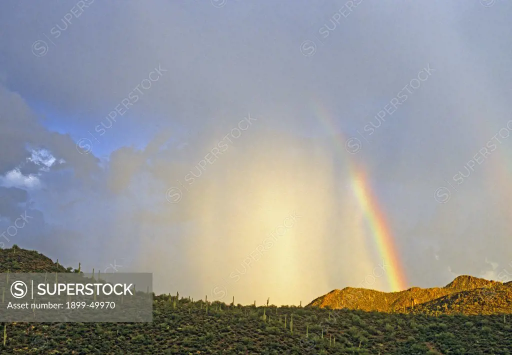 Curtain of sunlit rain with rainbow over Sonoran Desert foothills.   Tucson Mountains, Tucson, Arizona, USA.
