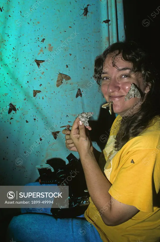 Field biologist Darlyne Murawski (summer 1996) attracts moths and other insects to a sheet lit by a mercury vapor lamp. The two most commonly used lamps for attracting insects at night are mercury vapor bulbs and those emitting near-ultraviolet light, also known as blacklights. Santa Rita Mountains, southern Arizona, USA.