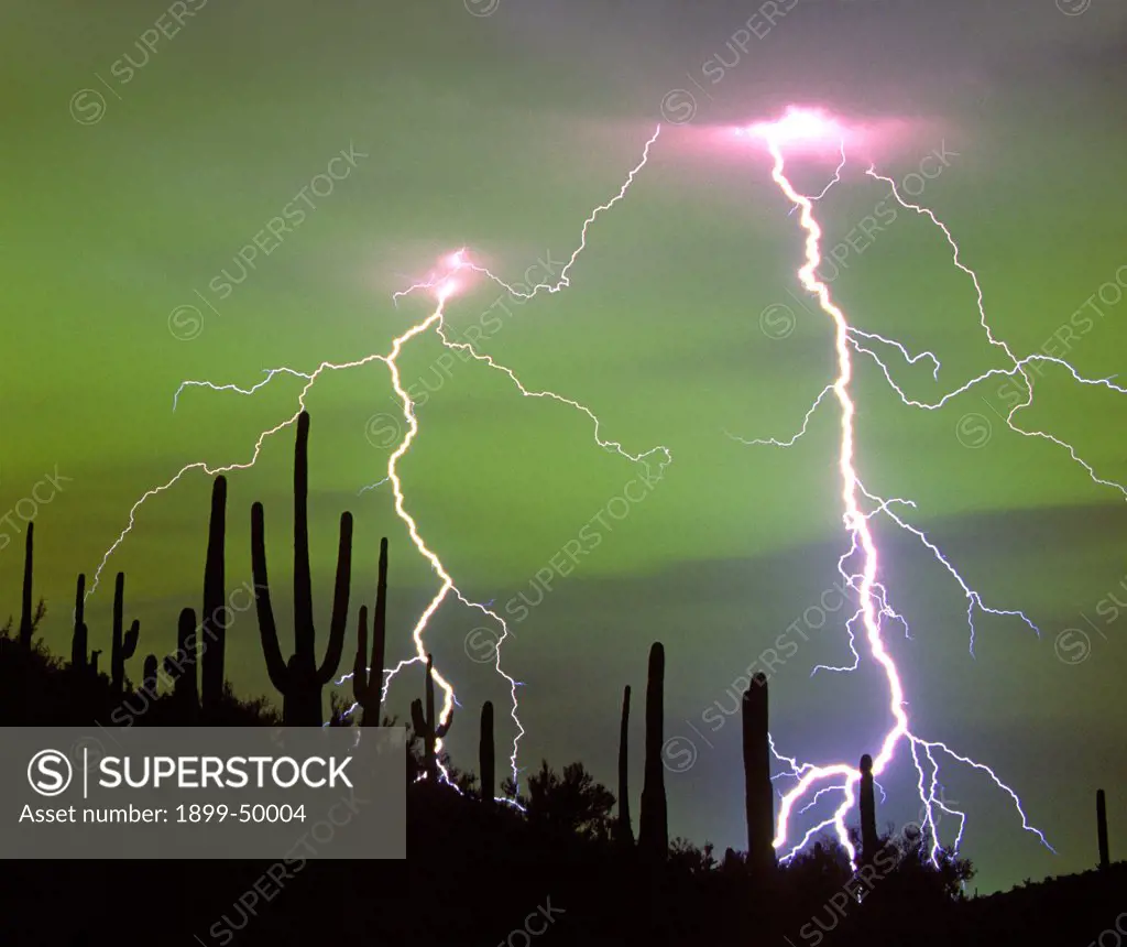 Dramatic cloud-to-ground lightning strikes with silhouetted saguaro cacti on ridge in Sonoran Desert. Eerie green glow produced by mercury vapor light reflected from clouds over the city behind the hill in foreground. Tucson, Arizona, USA.