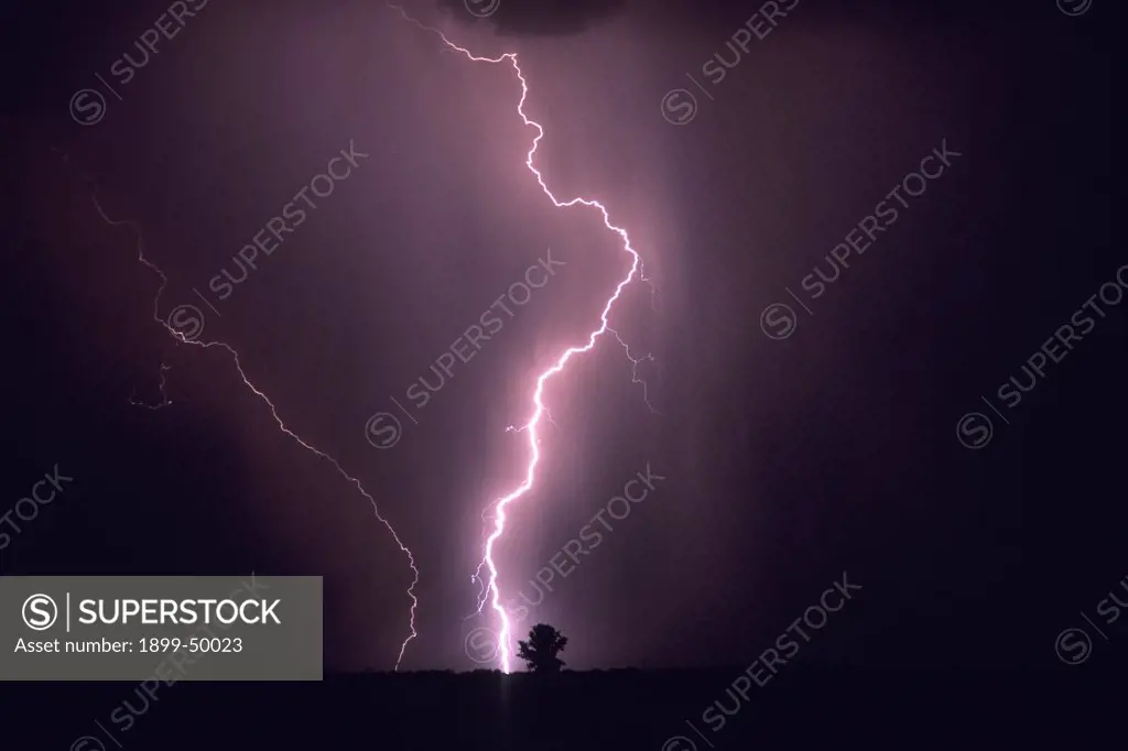 Powerful cloud-to-ground lightning strike misses a lone tree on the horizon.  Marana, Arizona, USA.