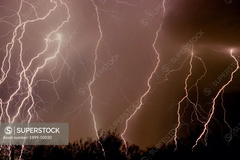 Active storm cell with numerous cloud-to-ground lightning strikes.   Tucson, Arizona, USA.