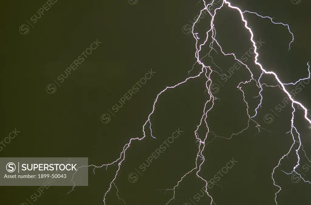 Elaborately forked cloud-to-ground lightning discharge.  Tucson, Arizona, USA.