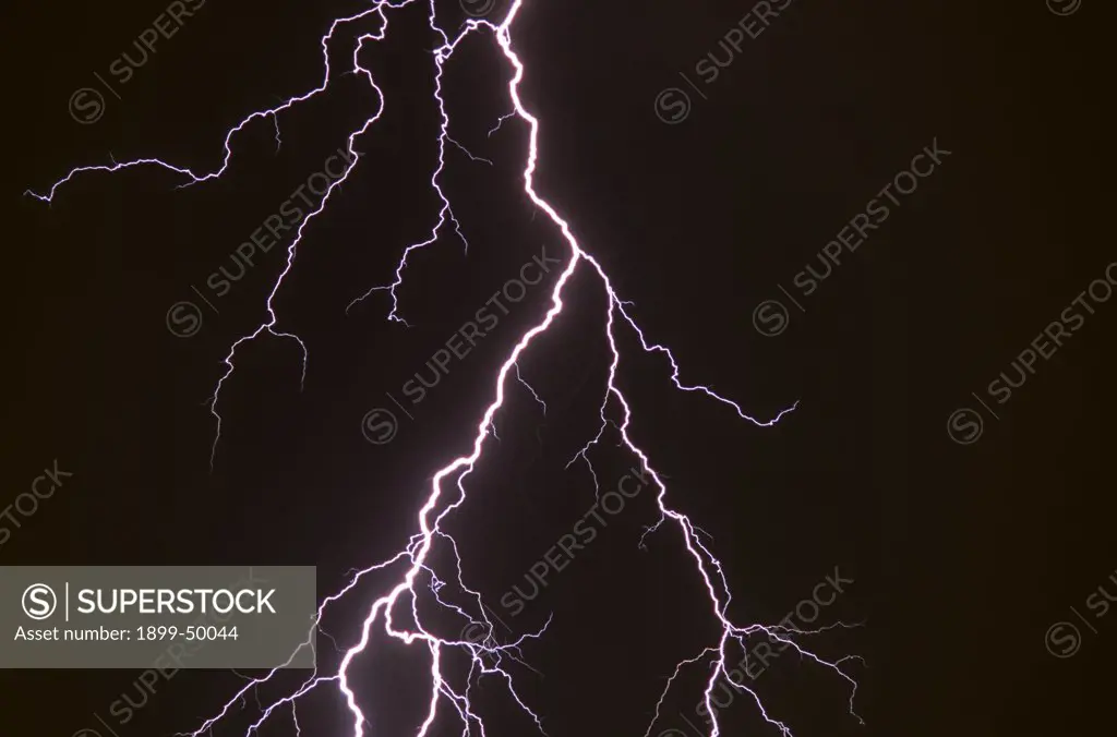 Elaborately forked cloud-to-ground lightning discharge.   Tucson, Arizona, USA.