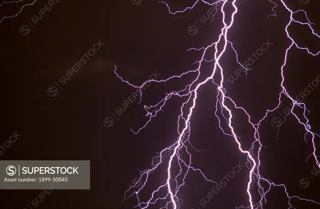Elaborately branched cloud-to-ground lightning discharge.   Tucson, Arizona, USA.