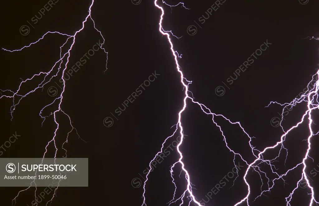 Branching cloud-to-ground lightning discharges.   Tucson, Arizona, USA.