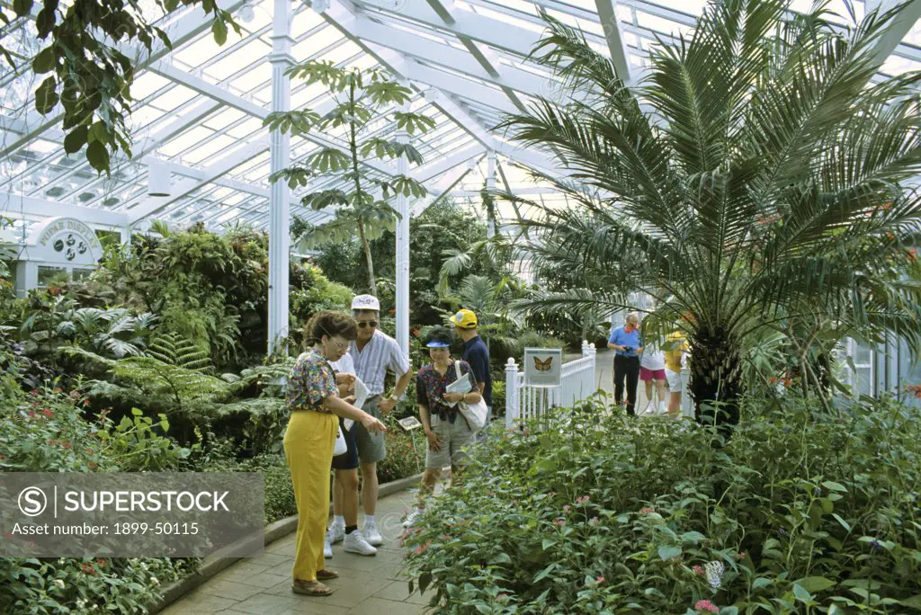 Visitors in the Wings of Wonder butterfly conservatory.  Cypress Gardens, Florida, USA. October 1993.