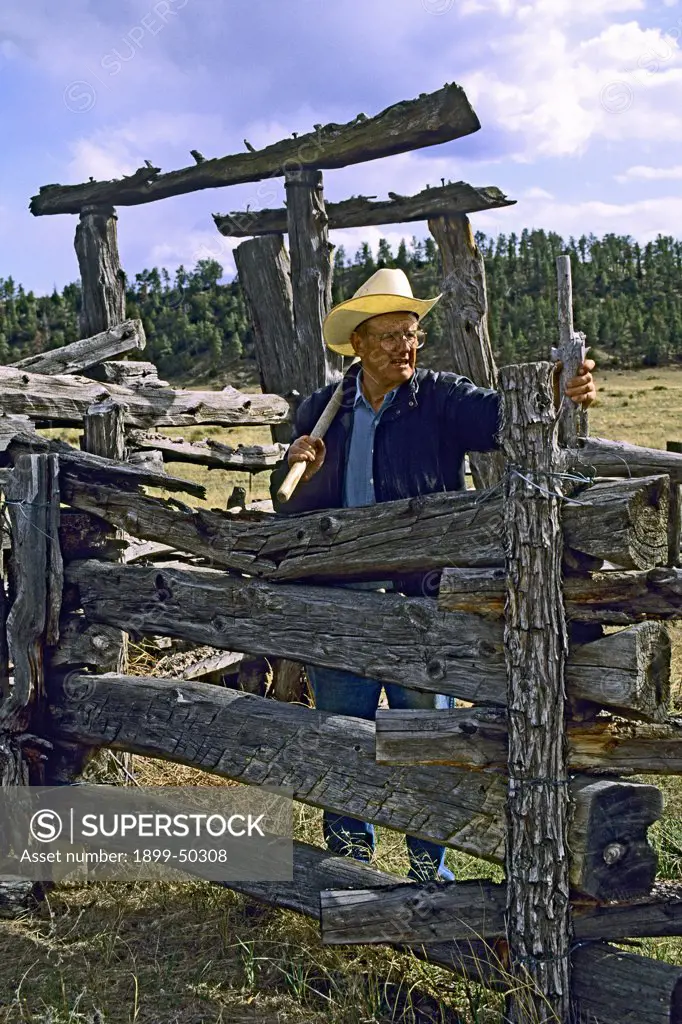 Conservationist, rancher, writer Dayton Hyde (June 1992), pauses while repairing an old corral with split-rail fencing, also known as a log fence. IRAM, Institute of Range and American Mustang. Black Hills Wild Horse Sanctuary, South Dakota, USA.