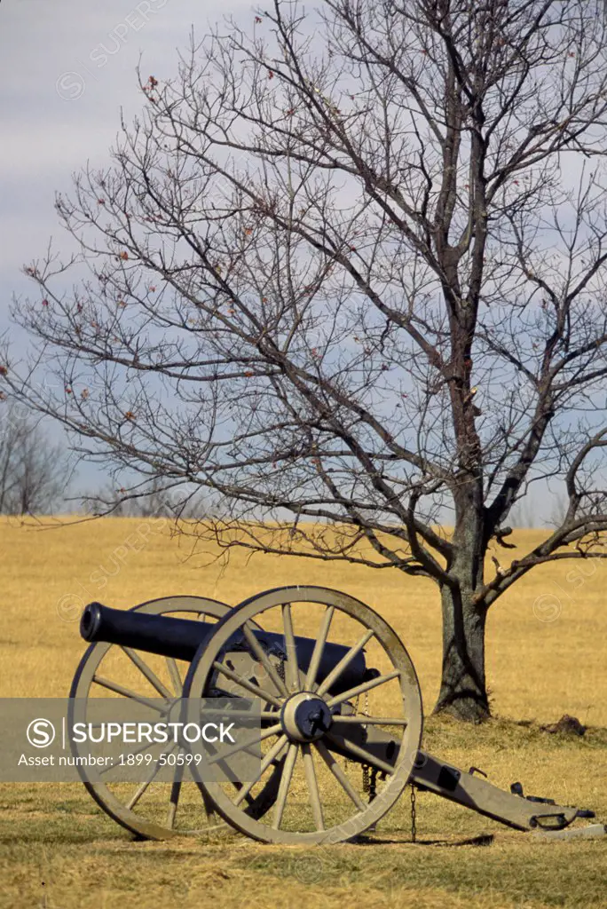 Virginia, Shenendoah. New Market Battlefield. Cannon In Field With Leafless Tree