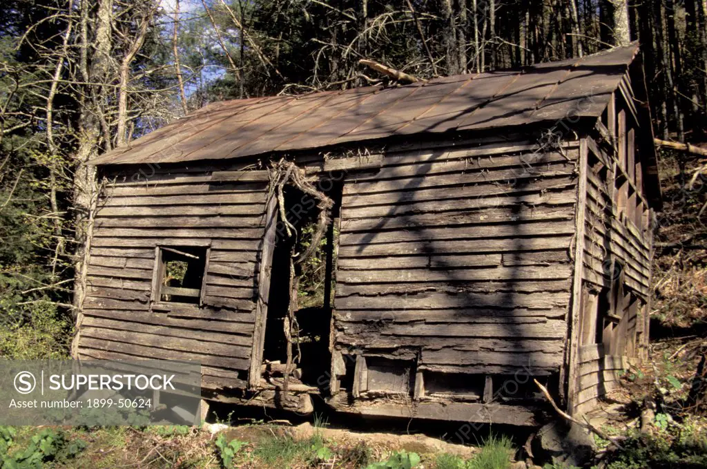 Virginia, Rural Backwoods, Dilapidated Log Cabin