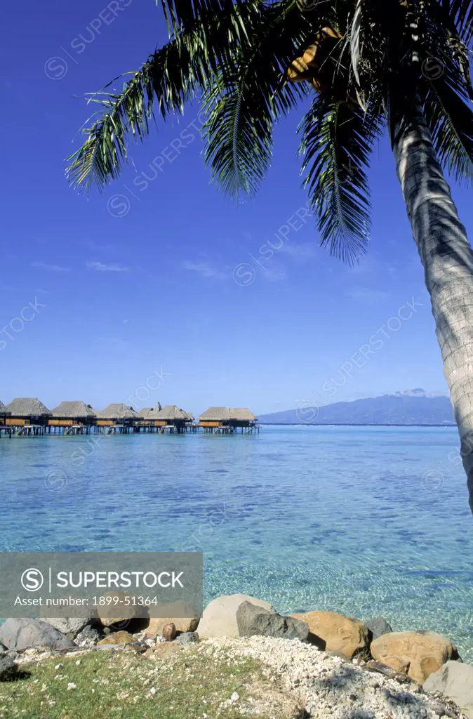 French Polynesia. Tahiti. Moorea.