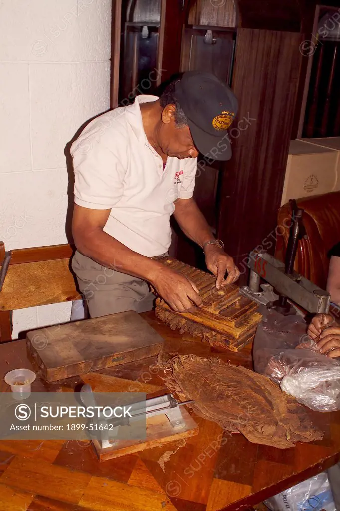 Cuba, Man Rolling Partagas, Traditional Cuban Cigars