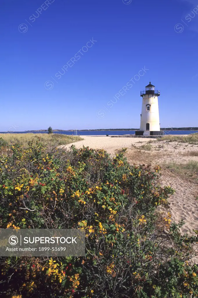 Massachusetts, Martha'S Vineyard. Edgartown Lighthouse