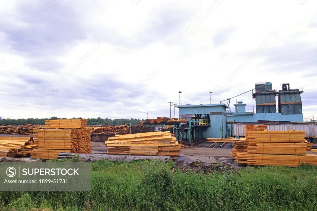 Washington State, Lumber Mill.