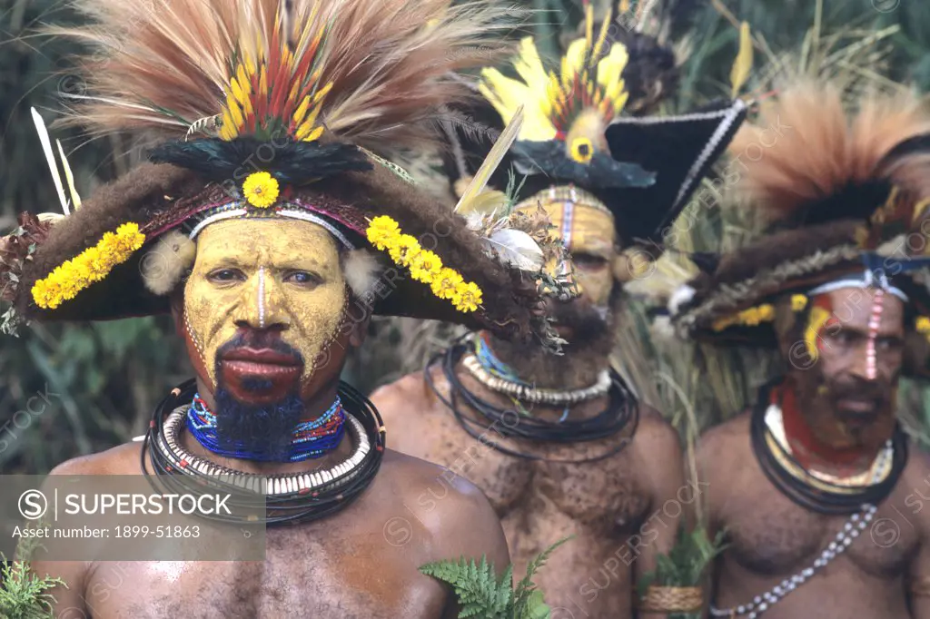 Papua New Guinea. Huli Wigmen