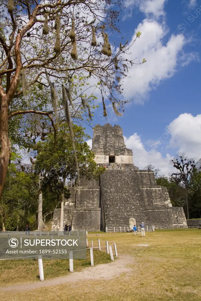 Guatemala, Tower 2 At Mayan Ruins In The Gran Plaza At Tikal Guatemala