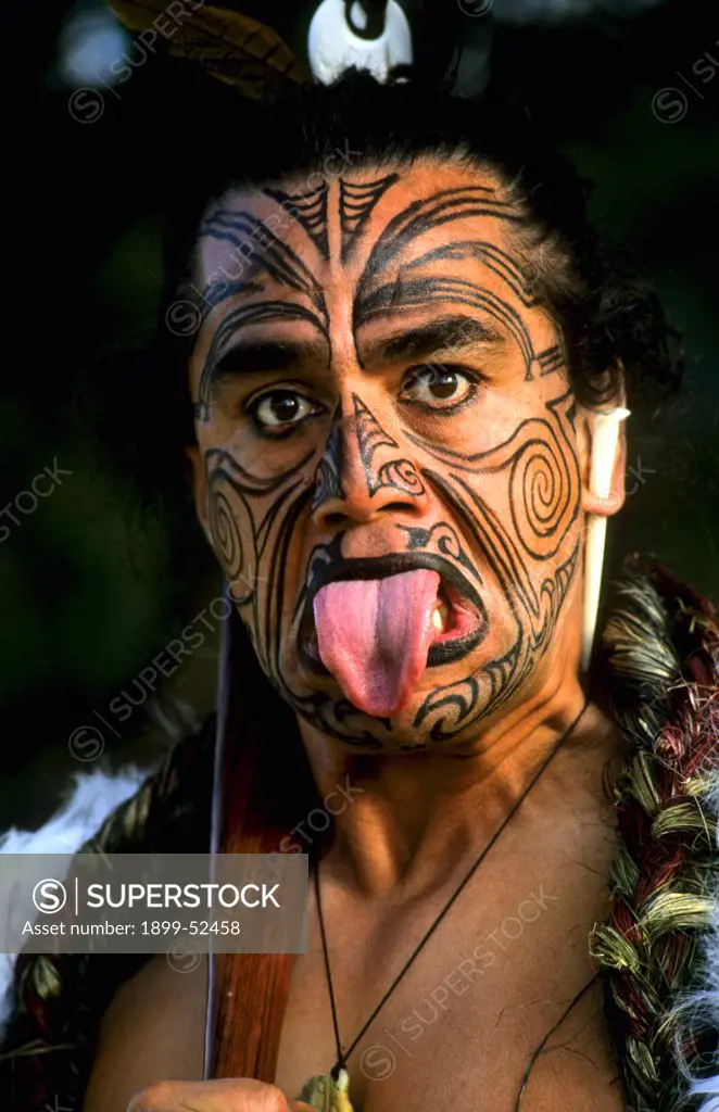 Maori Native Man With Tattoos And Body Paint Near Rotorua, New Zealand