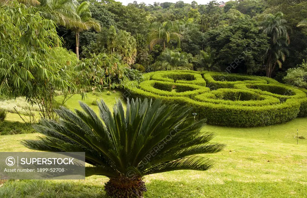 Botanical Garden Jardin Botanico In Sarchi Norte, Costa Rica