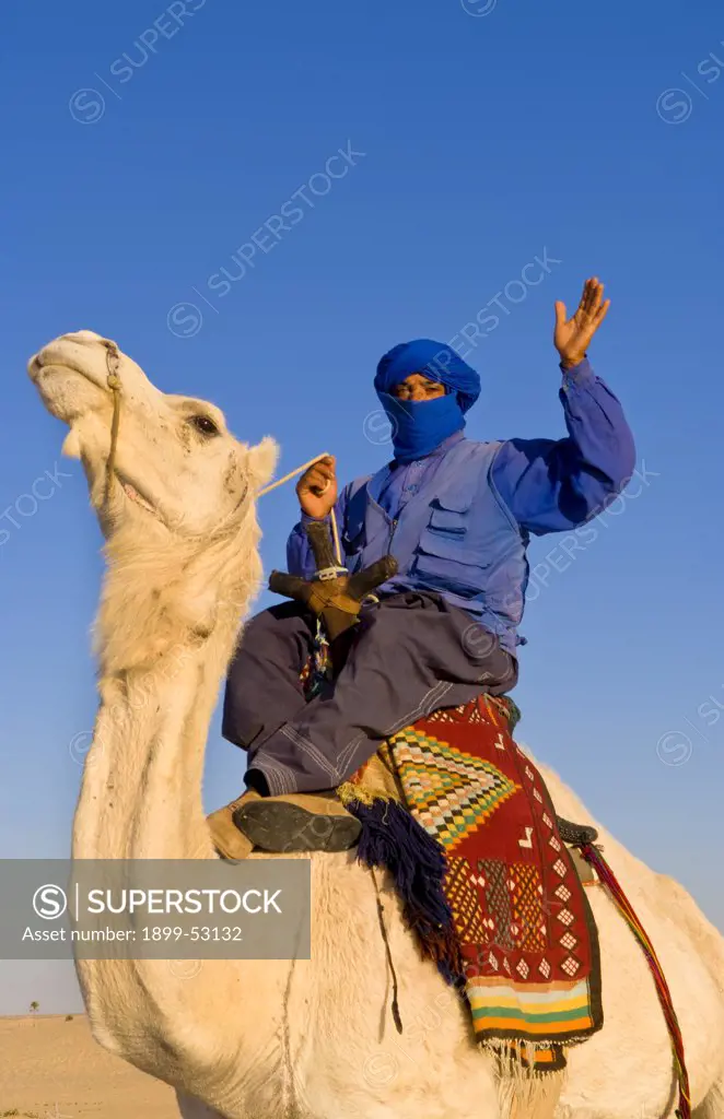 Local Bedouin Man On Camel Ride, Douz, Sahara Desert, Tunisia