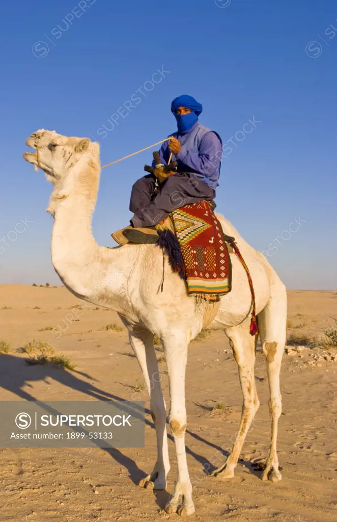 Local Bedouin Man On Camel Ride, Douz, Sahara Desert, Tunisia