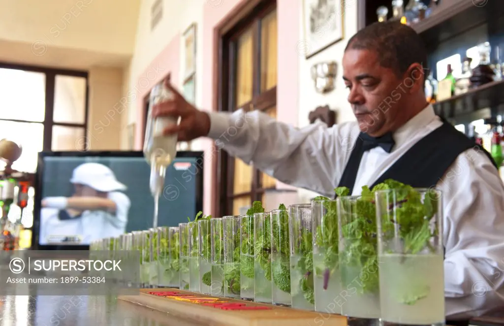 Bartender Pouring Row Of Mojitos At Bar With Rum In Havana, Cuba