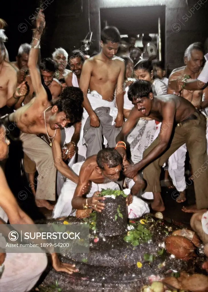 An Old Devotee In A Frenzied State Before A Shivling At The Ellora Temple, India