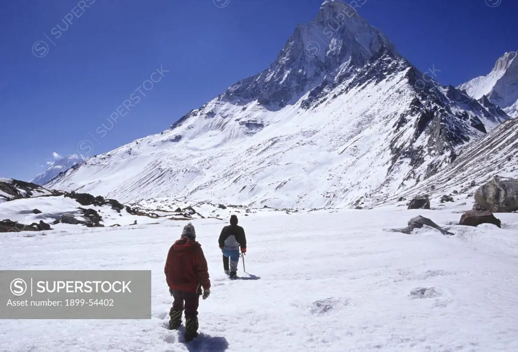Trekkers On Snow,Tapovan, Gangotri, Himalaya, Uttaranchal, India.