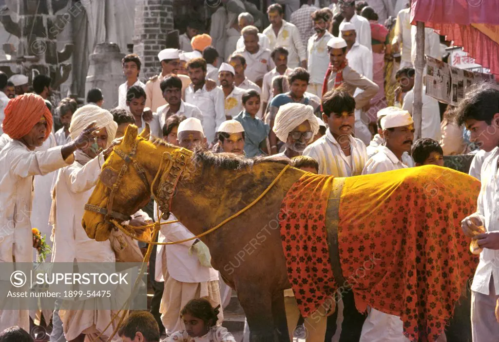 With The Belief That Khandoba'S Presence Is There In His Horse, Devotees Worship The Animal By Smearing It With Turmeric Powder, Even Reapplying The Same On Their Faces. Jejuri, Maharashtra, India