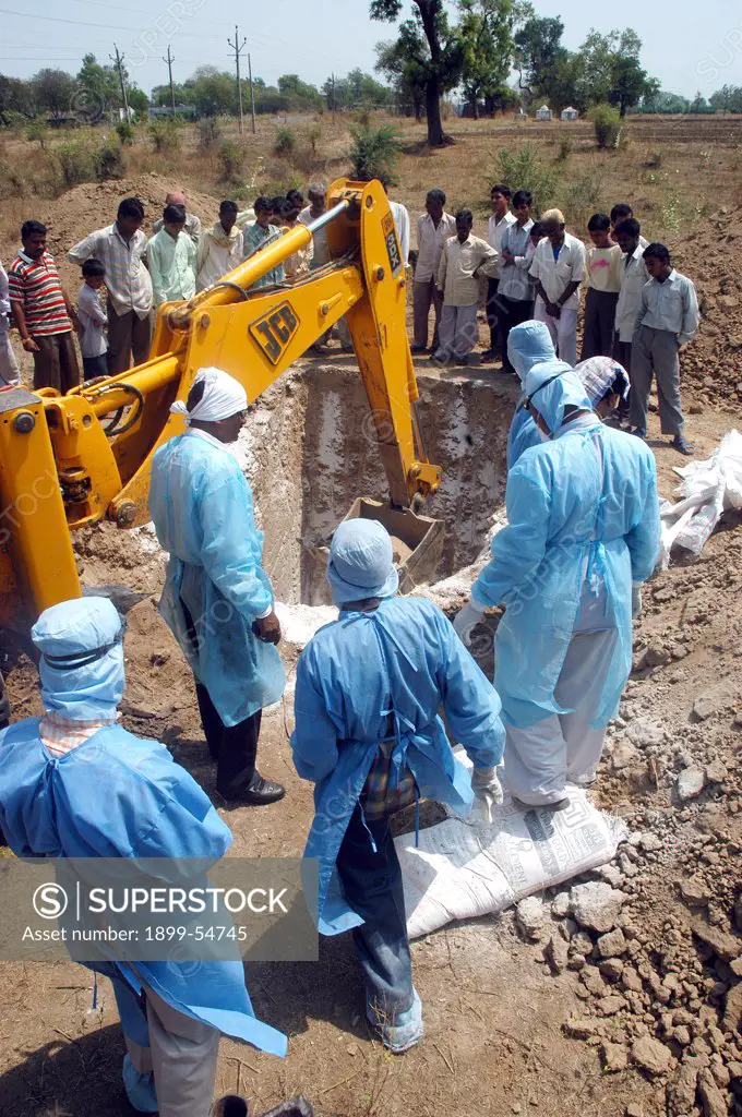 Health Workers Fill The Pit With Lime Powder To Bury Infected Chickens Collected In The Backyard Of The Houses As Bird Flu Is Detected At Hingona Village In Jalgaon District, Maharashtra, India