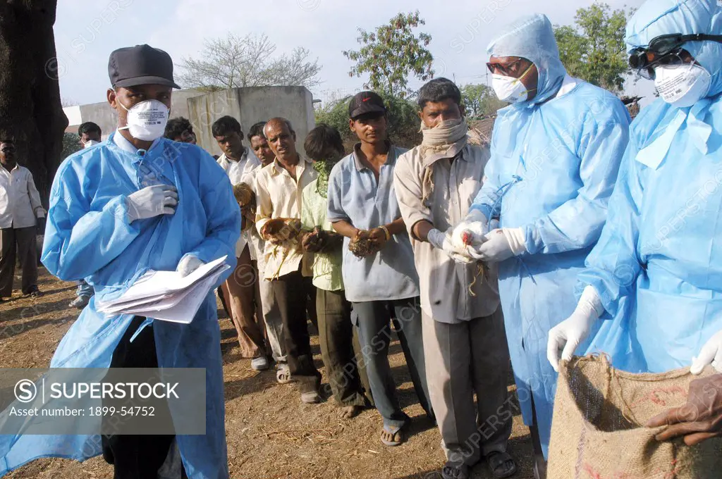 Villagers Stand In A Queue To Hand Over Household Poultry To Government Health Workers For Culling Infected Chickens In The Backyard Of The Villager'S Houses At Hingona Village In Jalgaon District As Bird Flu Is Detected In Maharashtra, India