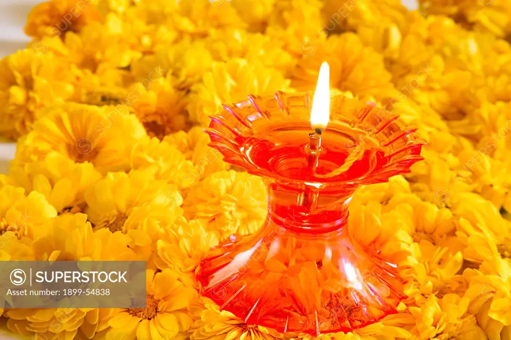 Hybrid Zinnia Flowers Orange Color, And Plastic Oil Lamp, India