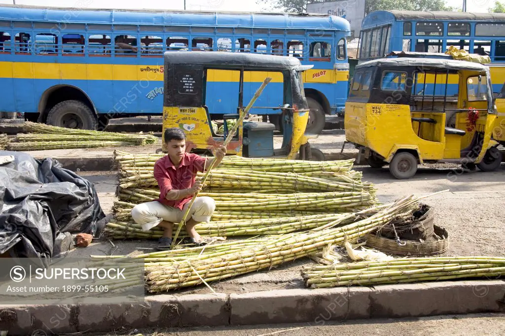 Man Selling Sugarcane At Bus Stand, Calcutta Kolkata, West Bengal, India