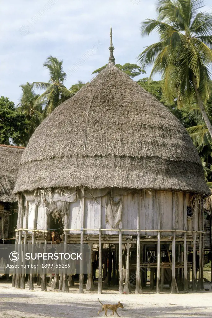 Nicobar Hut, Andaman And Nicobar Island, India